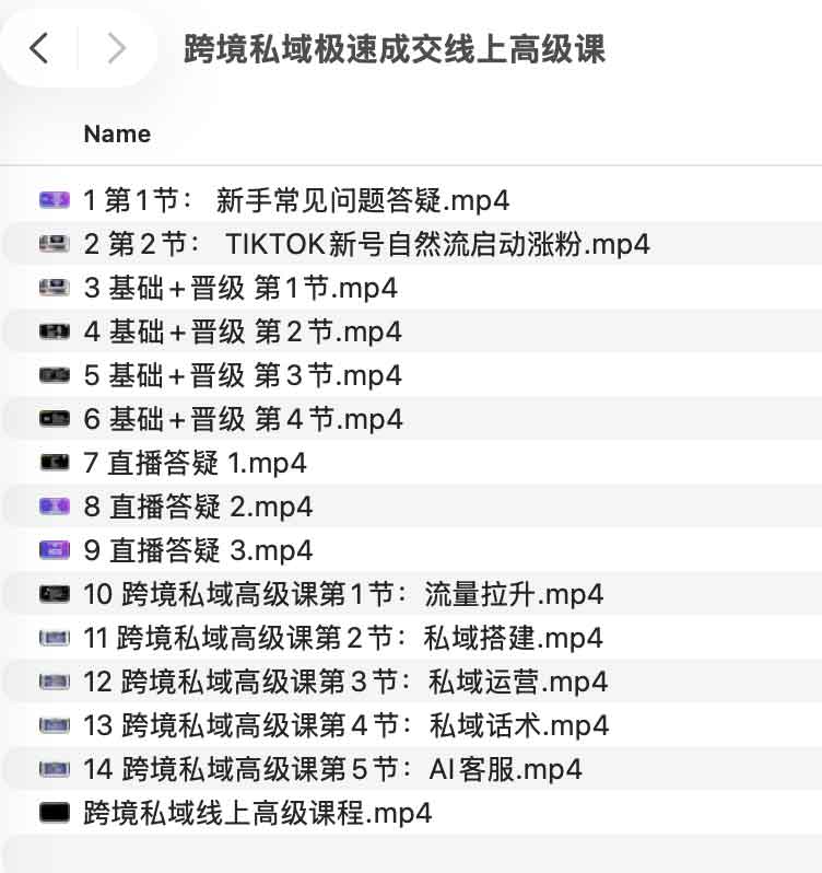 跨境私域极速成交线上高级课课程