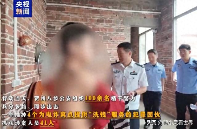 2026年国内电商接码避坑Top1：出借收款码竟成帮凶？