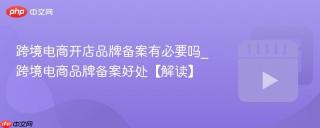 2026年跨境电商必看：未备案品牌功能Top5优缺点排名