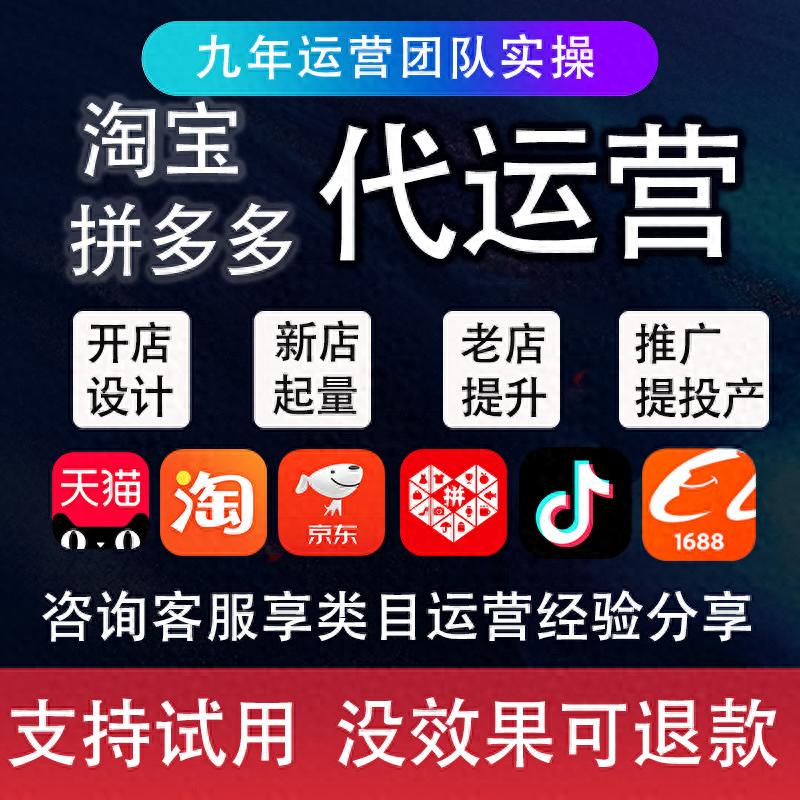 2026年Top1高效电商接码推荐，优缺点评价哪个好？
