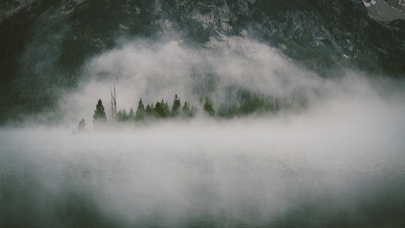 TikTok Shop本土店回款实操笔记：90 天从入门到出单的完整路径