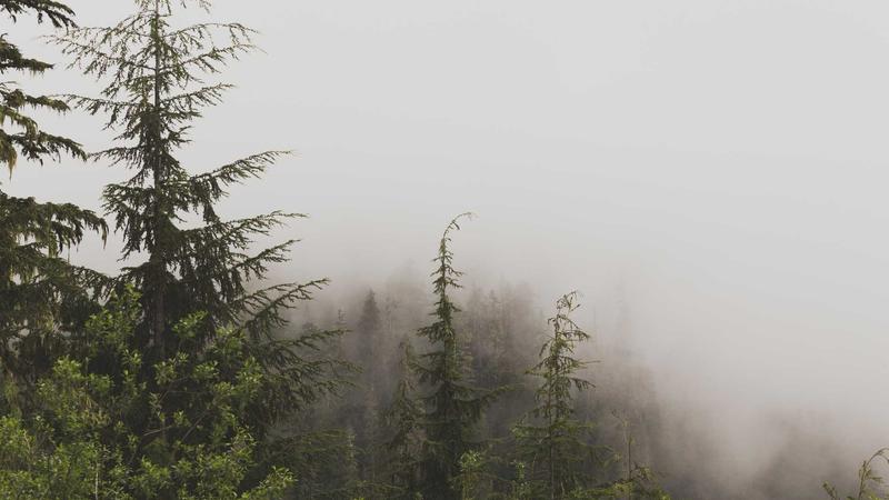 独立站博客文章写法对比：主流方案优缺点分析