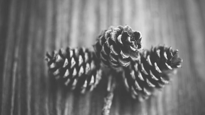 Shopify Bulk Product Editing: Key Factors to Consider