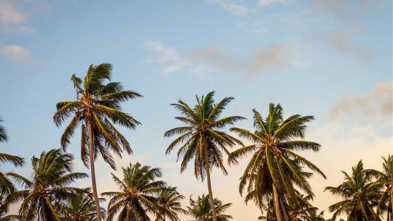 Shopify Inventory Forecasting: What to Look For
