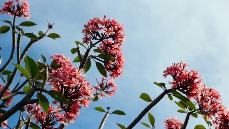 EU VAT合规实操，对卖家到底意味着什么