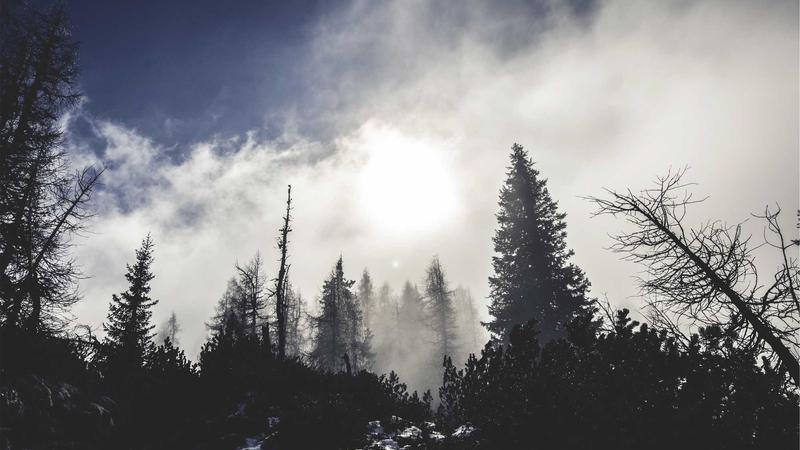 Amazon FBA Storage Fee Discounts: A Practical Handbook