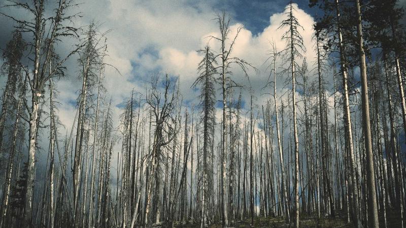 亚马逊荷兰仓储新规案例复盘与趋势
