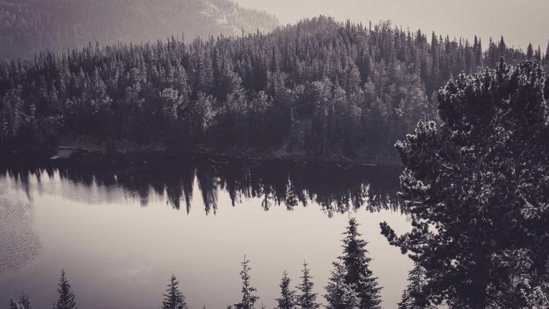 Walmart Seller Onboarding: Latest Policy Update