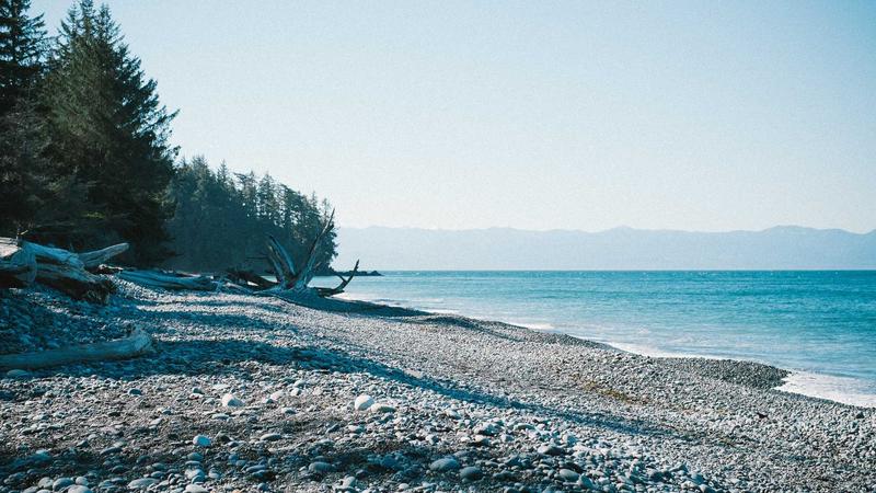 比特浏览器完整搭建流程，从0开始