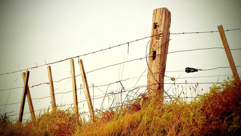一组真实数字看懂指纹浏览器RPA自动化