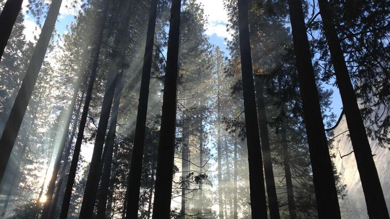一组数字看懂SHEIN柔性供应链模式