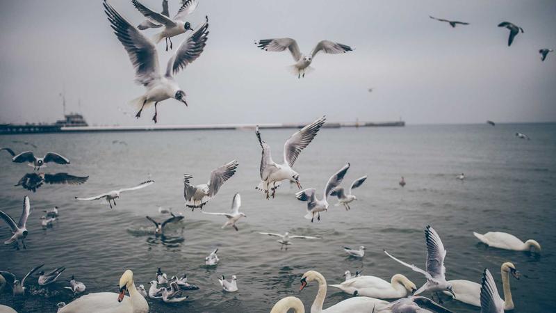 速卖通店铺装修从零开始，照着做就能出第一单