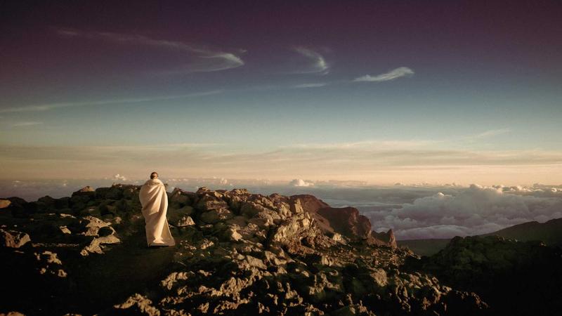 Cargo Insurance for E-Commerce: Price & Value Guide