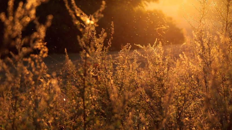 Walmart Seller Onboarding: Proven Checklist Tips