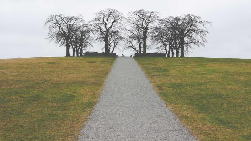 速卖通俄罗斯市场策略：跨境卖家影响分析