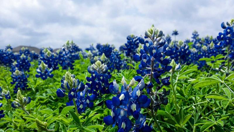 亚马逊新品上架流程案例分享:一个真实卖家的完整路径