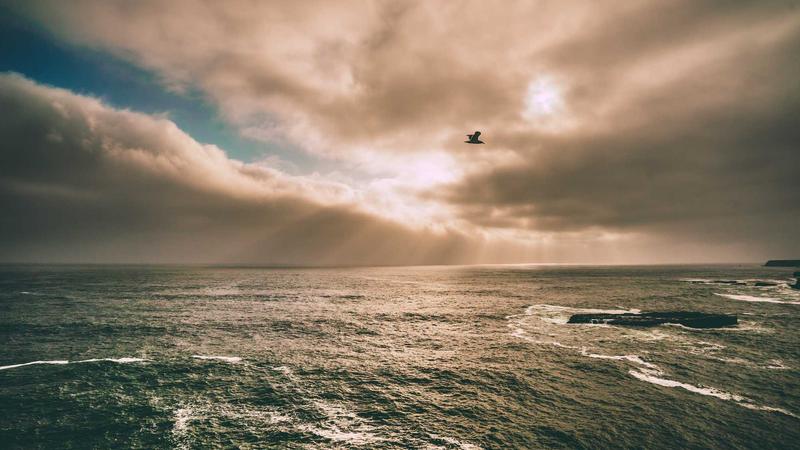 Cdiscount法国低价战:近期变化盘点