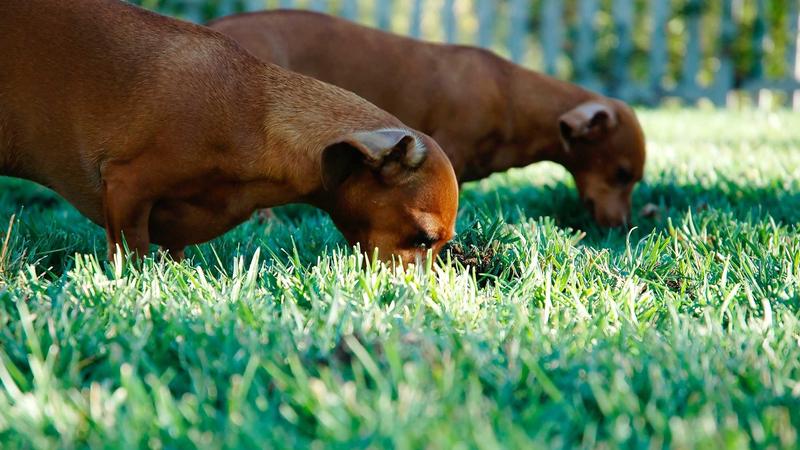 亚马逊卖家激励计划新政策展望 2026:行业新变量