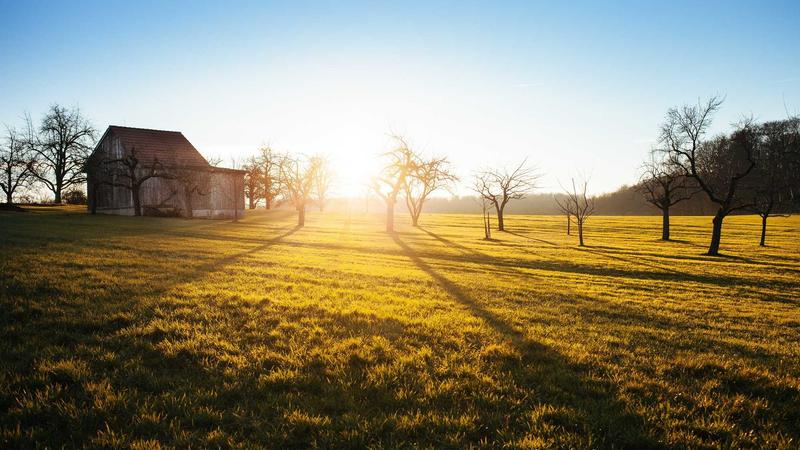 Shopee闪购活动提报从入门到精通：一篇讲透