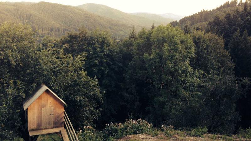 Shopee虾皮广告投放高频报错，8类问题一次解决