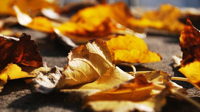 跨境电商负面Review处理案例：一个真实卖家的应对之路