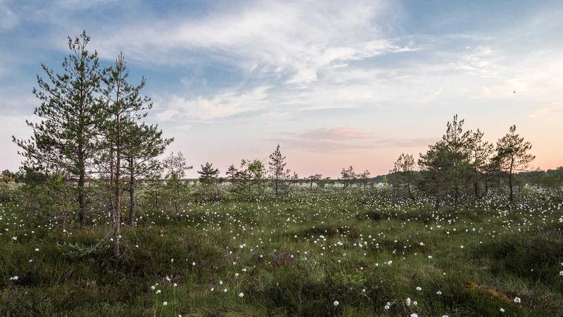 eBay促销活动设置避坑：这些坑千万别踩