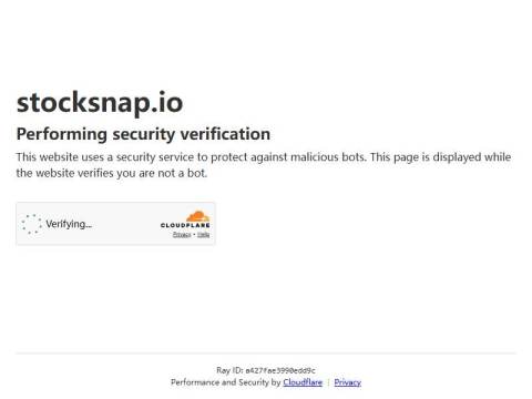 StockSnap