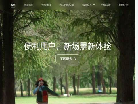 淘宝闪购