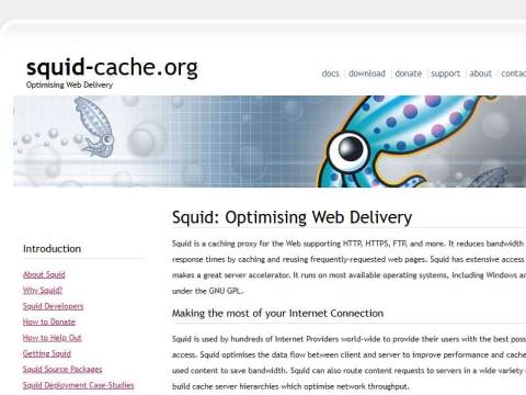 squid : Optimising Web Delivery