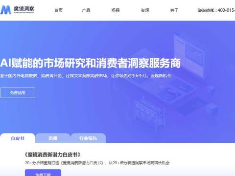 魔镜洞察 | 在线零售市场的AI分析师