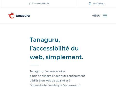 Tanaguru, une équipe au service de l'accessibilité numérique (RGAA ou WCAG)