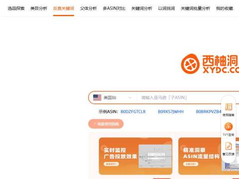西柚洞察(原西柚找词)-从精准流量找词,到专业市场洞察