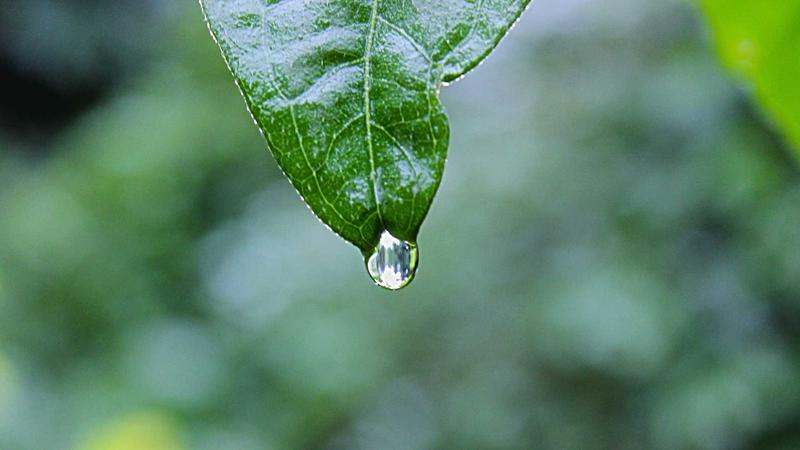 独立站自动化营销哪家强?主流方案优缺点对比