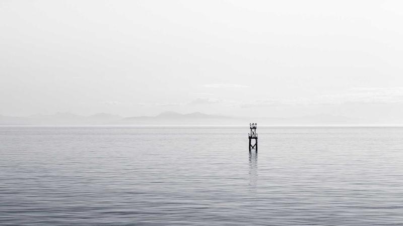 2026跨境头程海运趋势,卖家该往哪走