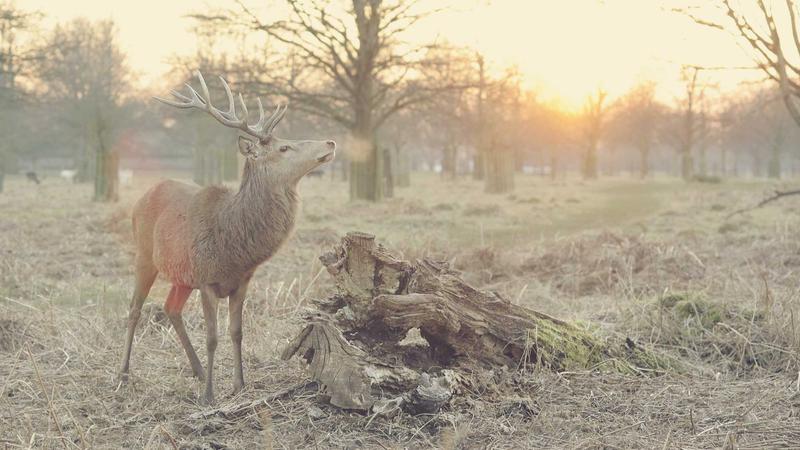 Coupang商品详情页自查清单,照着做少踩坑