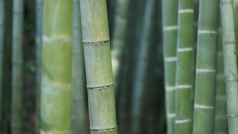 独立站YouTube视频营销实操问答：高频问题统一解答