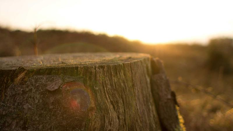 Coffee Brewing Gear: Price vs. Quality Compared