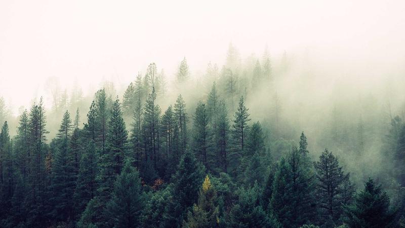 Fnac法国以旧换新市场:机会与挑战全解读