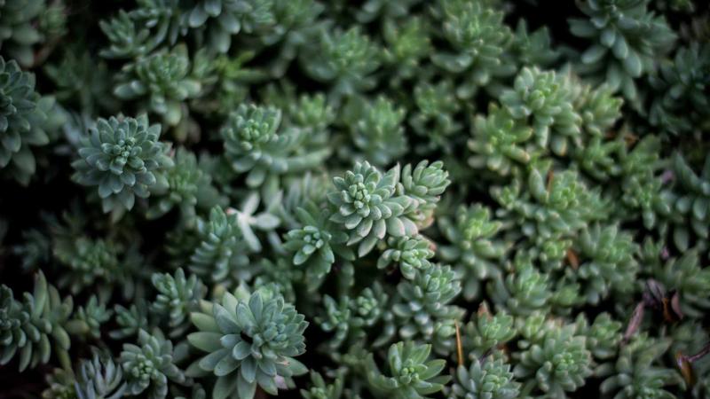 Walmart Seller Metrics: Insider Tips from Top Perf