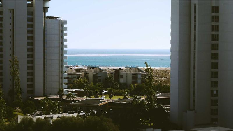 Shopify Markets Pro新功能现状分析:数据与事实说话