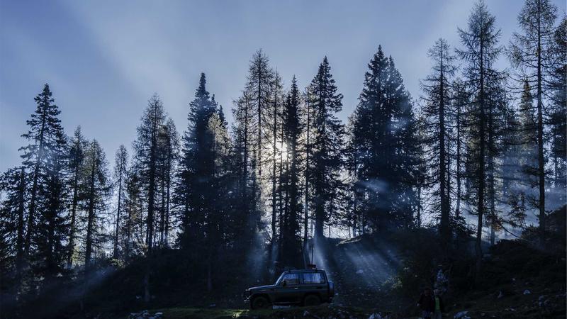 亚马逊Coupon设置误区,新手常犯的这几条