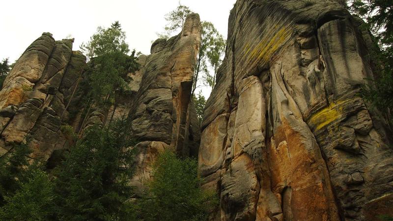 Shopee新加坡站直播带货展望 2026:行业新变量