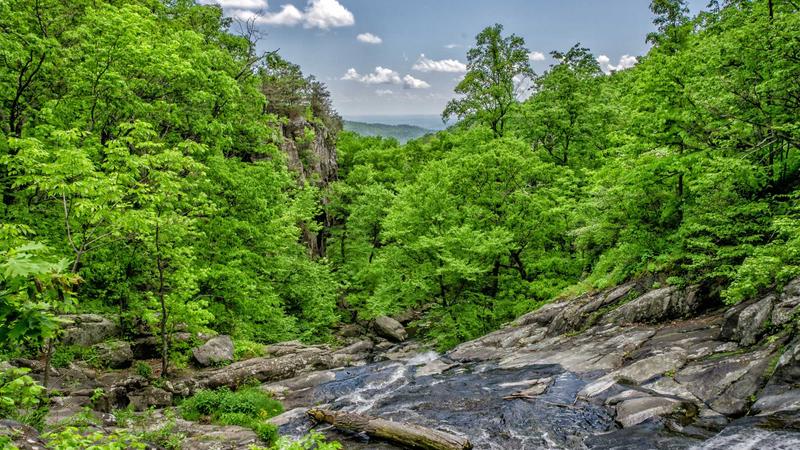 独立站合规政策页面,值不值得做?成本收益拆解