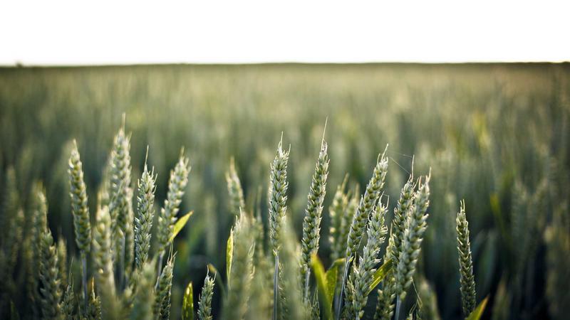Shopify邮件营销工具与资源清单:运营必备收藏